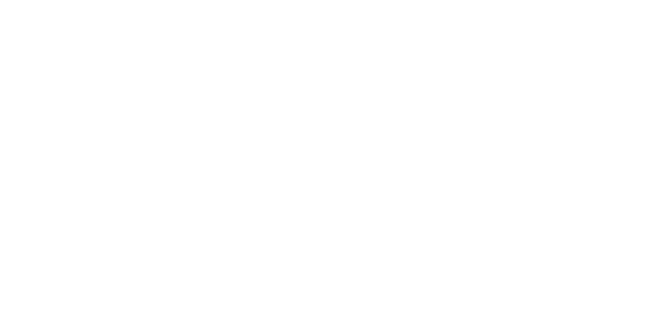 CSG logo (white)
